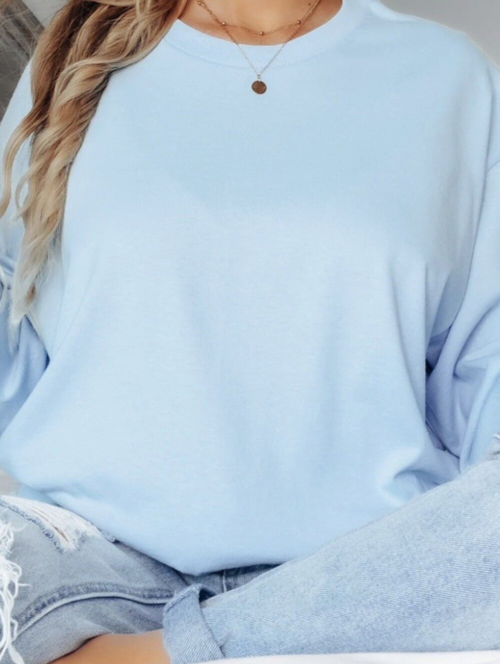 🩷Fiorla Light Blue Crewneck Sweatshirt